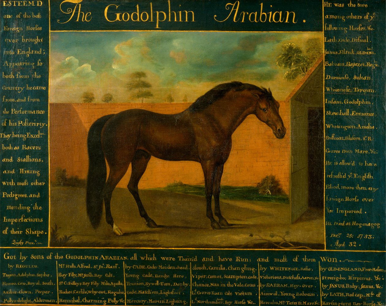 Il Godolphin Arabian da Daniel Quigley