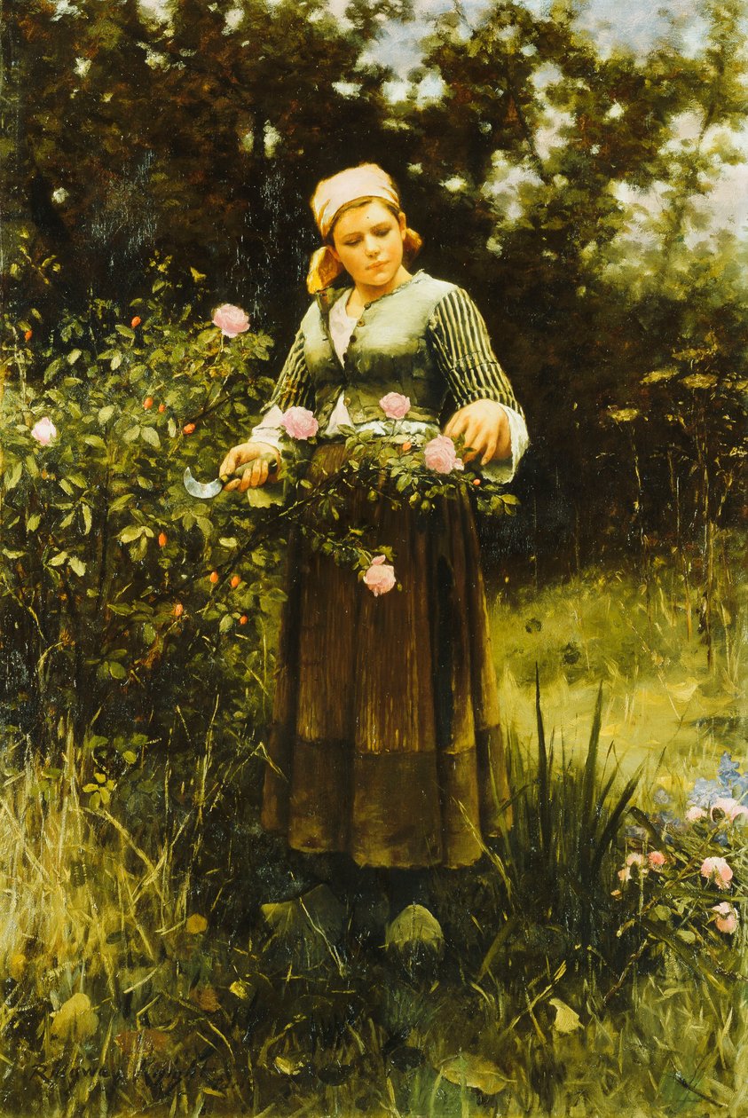 Raccolta di rose da Daniel Ridgway Knight