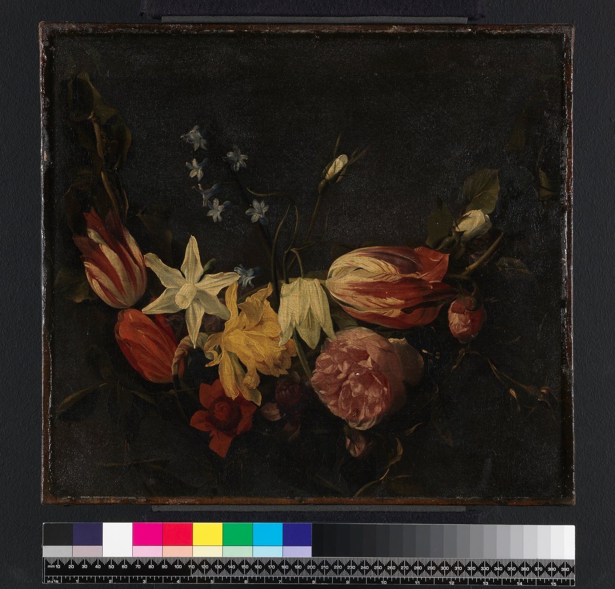 Festone di fiori, prima del 1661 da Daniel Seghers