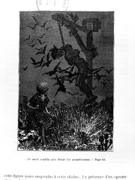 Illustrazione per 