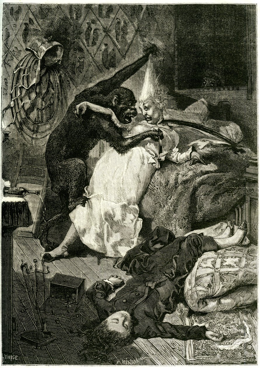 Illustrazione per 