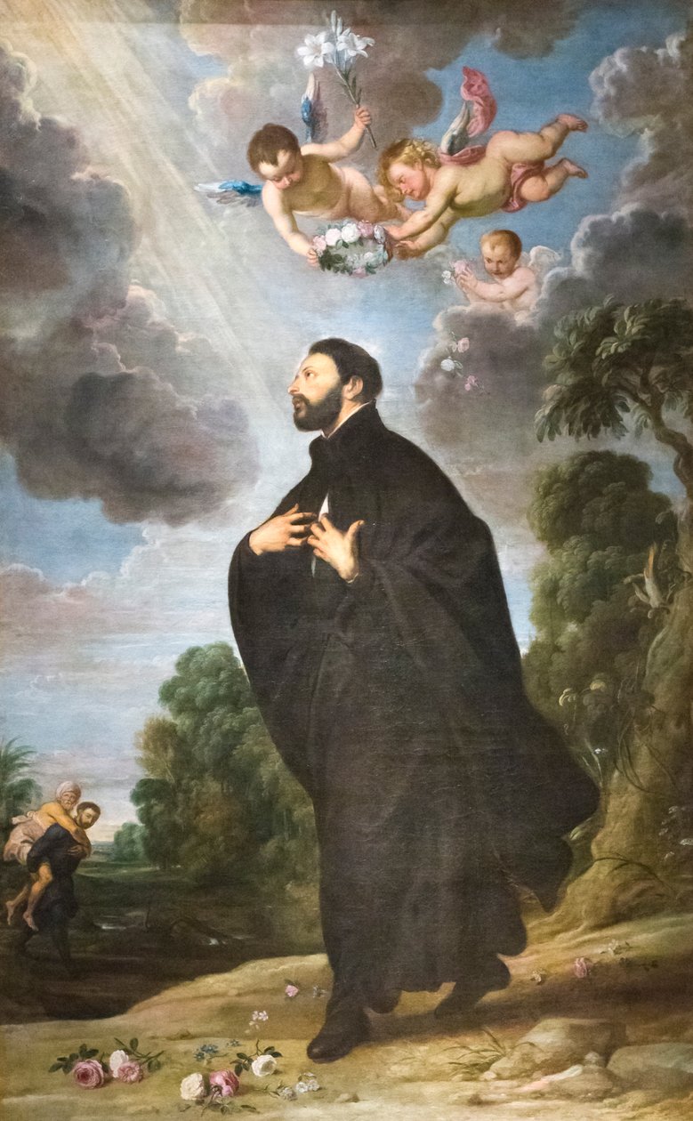San Francesco Saverio, pala d