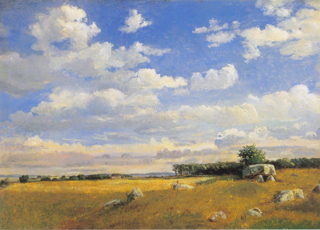 Dolmen su Brandsø da Dankvart Dreyer