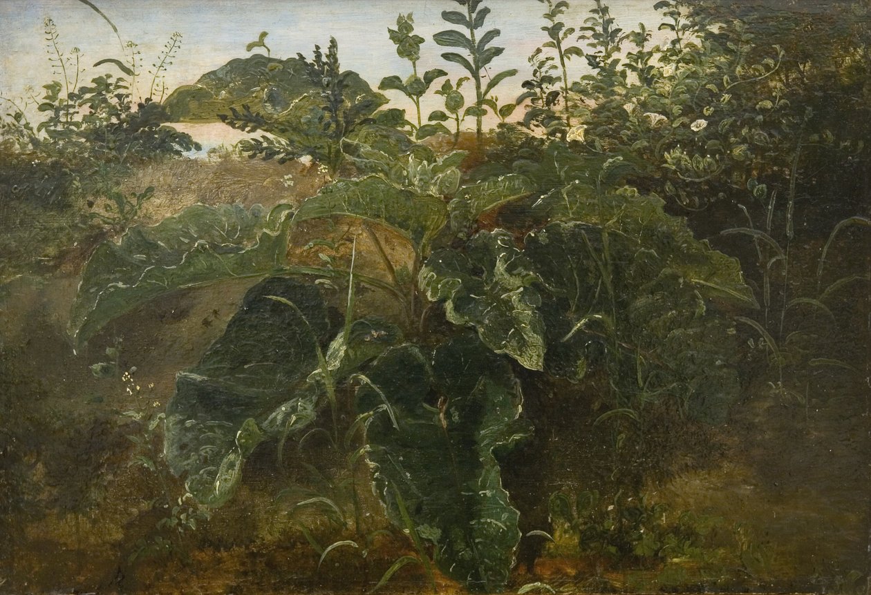 Studio del primo piano con foglie di bietola da Dankvart Dreyer