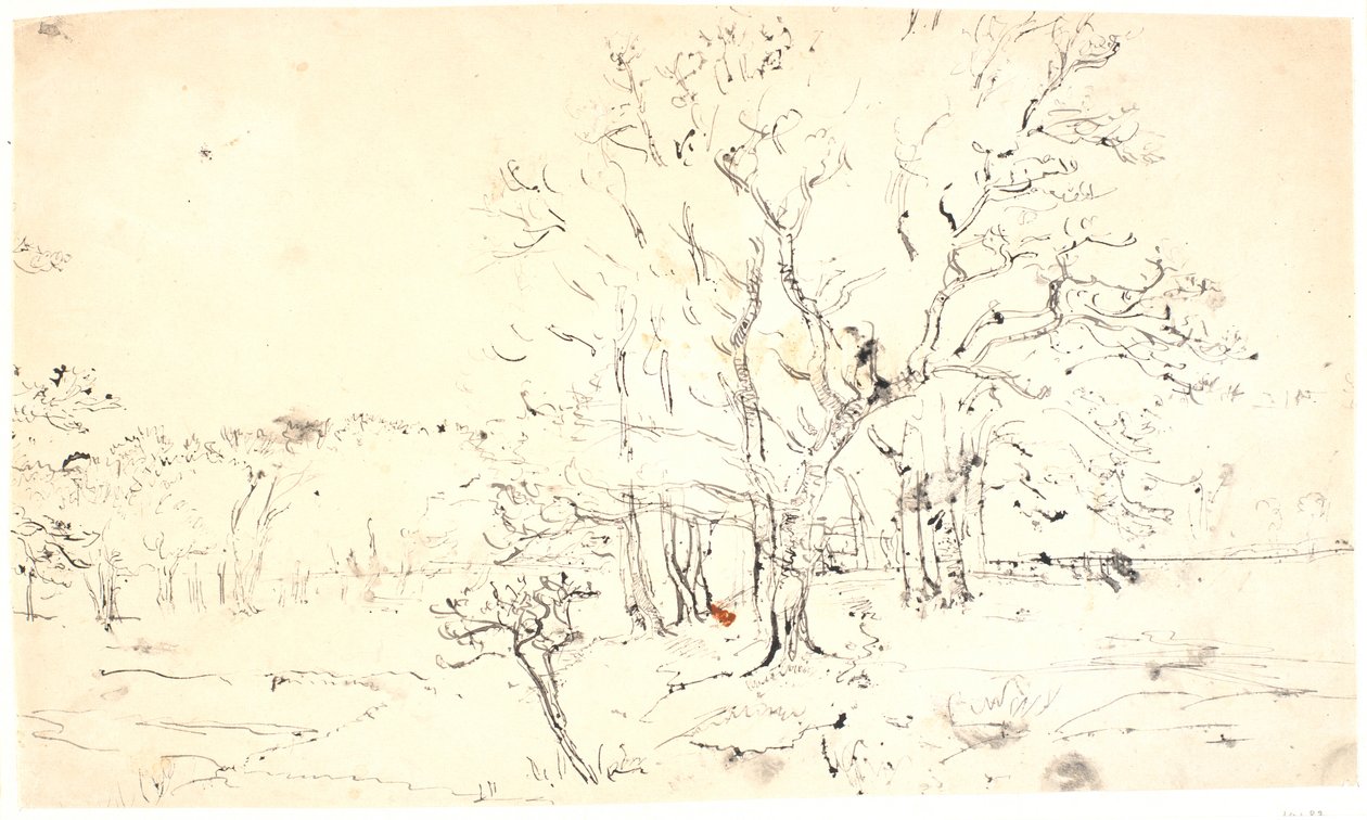 Paesaggio con alberi da Dankvart Dreyer