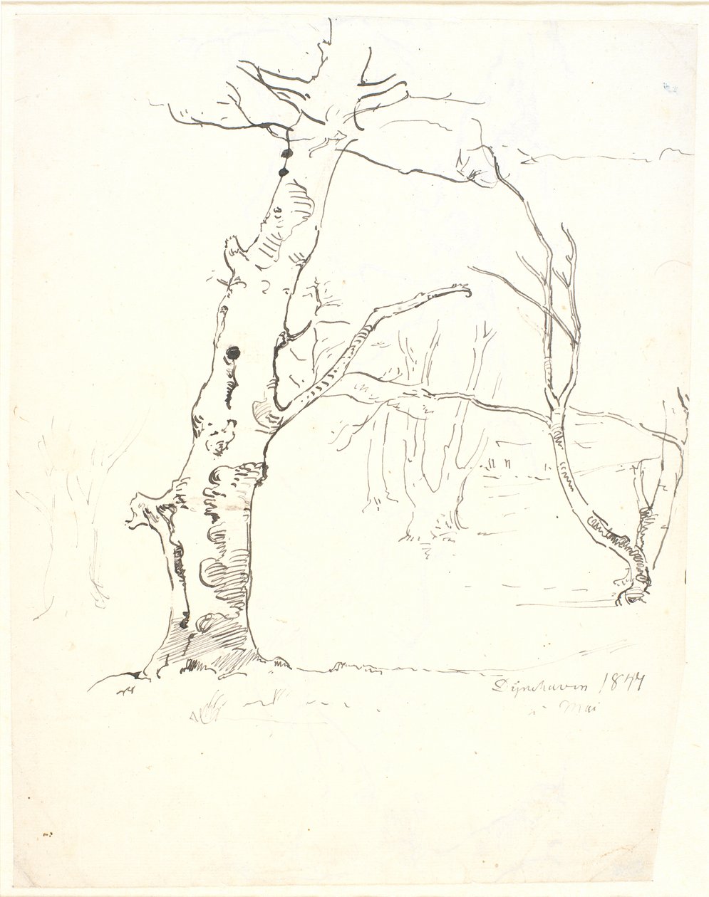 Tronchi d