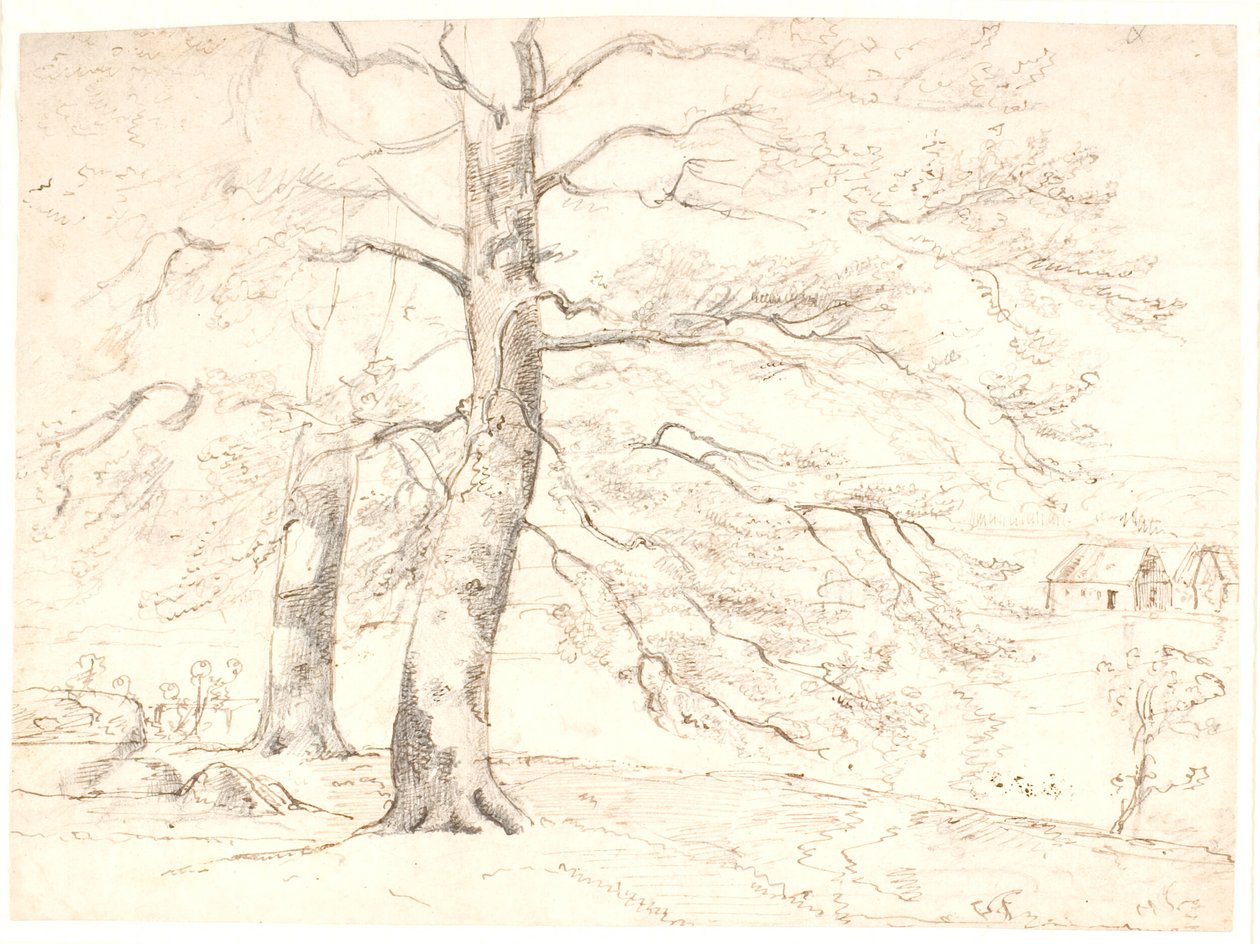 Vista su un paesaggio, in primo piano grandi faggi da Dankvart Dreyer