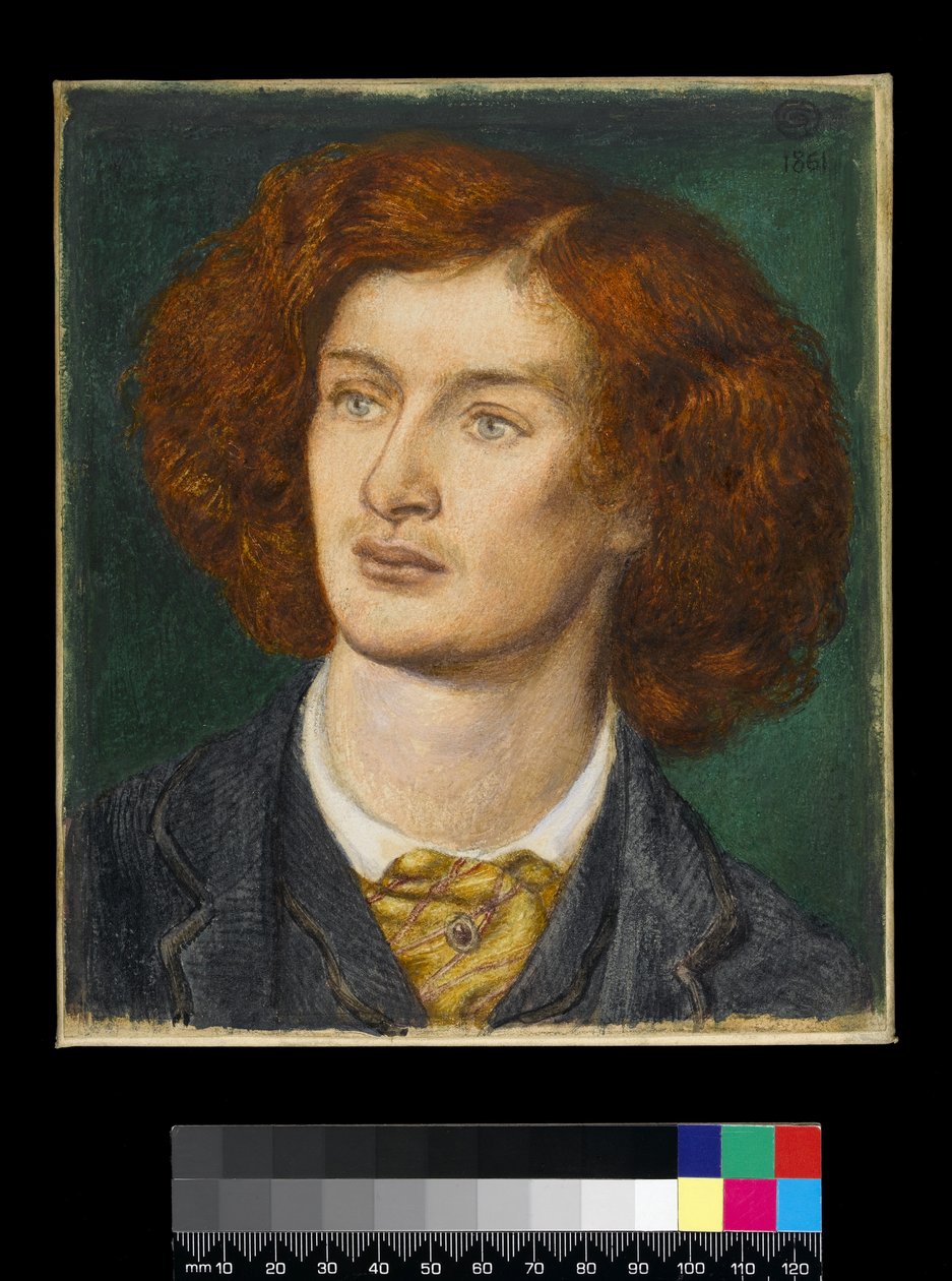 Ritratto di Algernon Charles Swinburne da Dante Gabriel Charles Rossetti