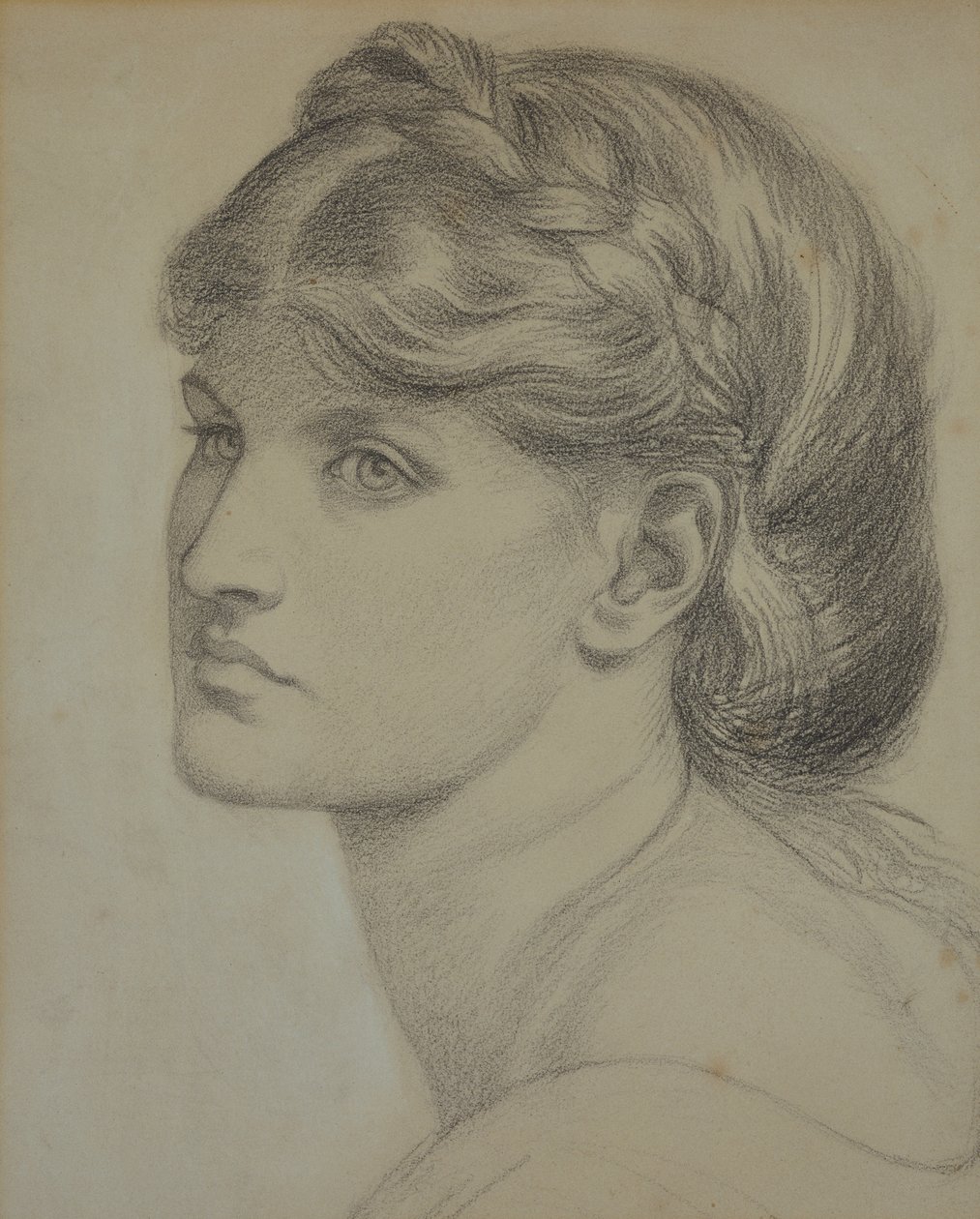 Ritratto di Alexa Wilding, studio per 