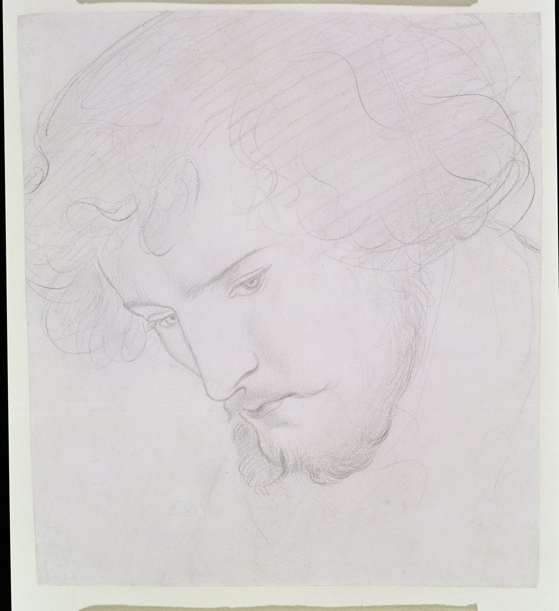 Il seme di Davide - Studio per Davide, 1859-1862 da Dante Gabriel Charles Rossetti