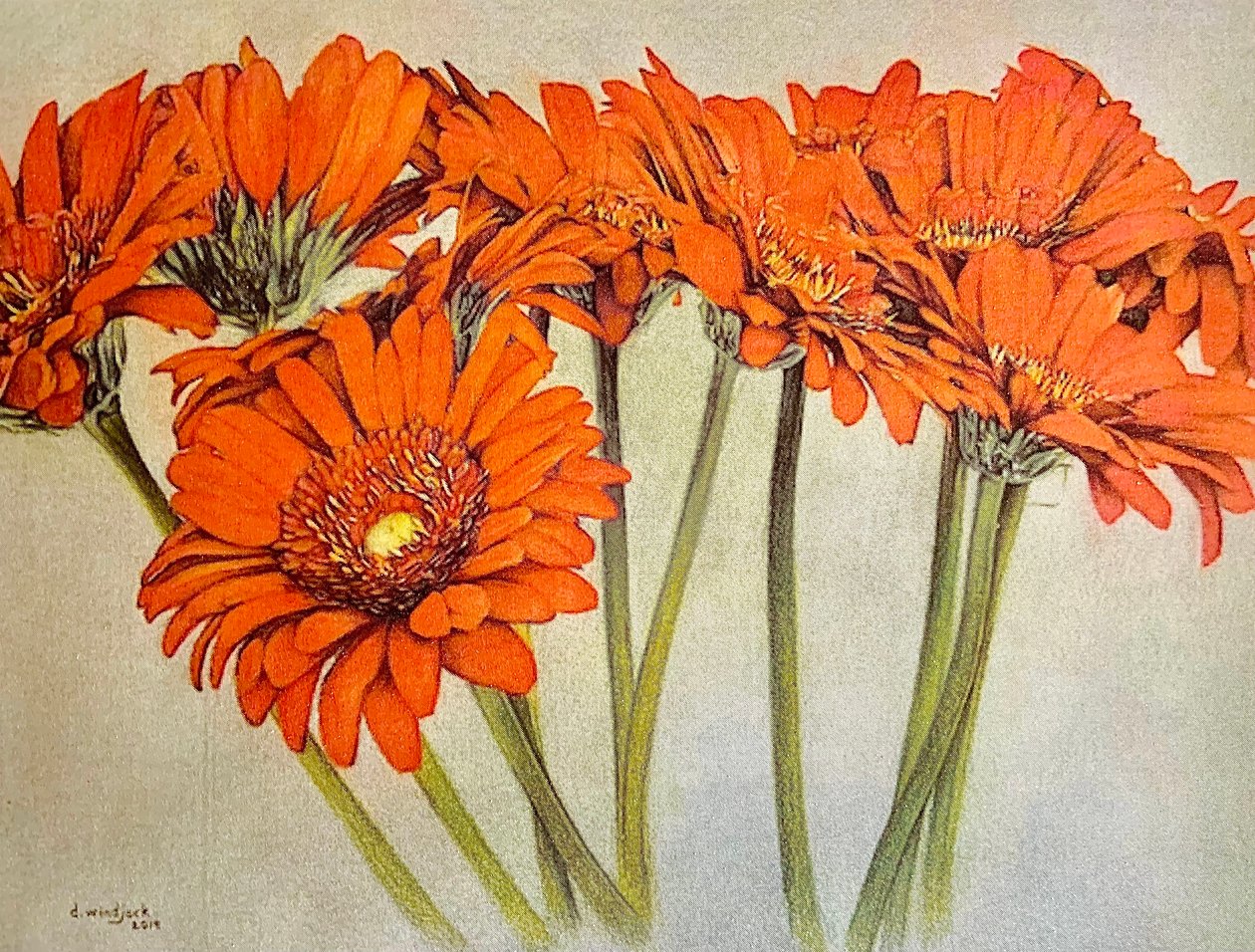 Esplosione arancione, 2019 da Darrell Windjack
