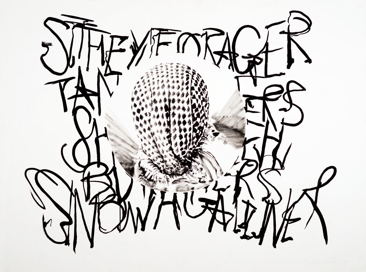 Lansdcape, 2003 (inchiostro su carta) da Darren Coffield