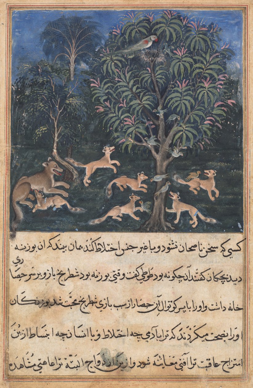 Pagina da Le storie di un pappagallo Tuti-nama: Quinta notte: La madre pappagallo avverte..., c. 1560 da Daswanth