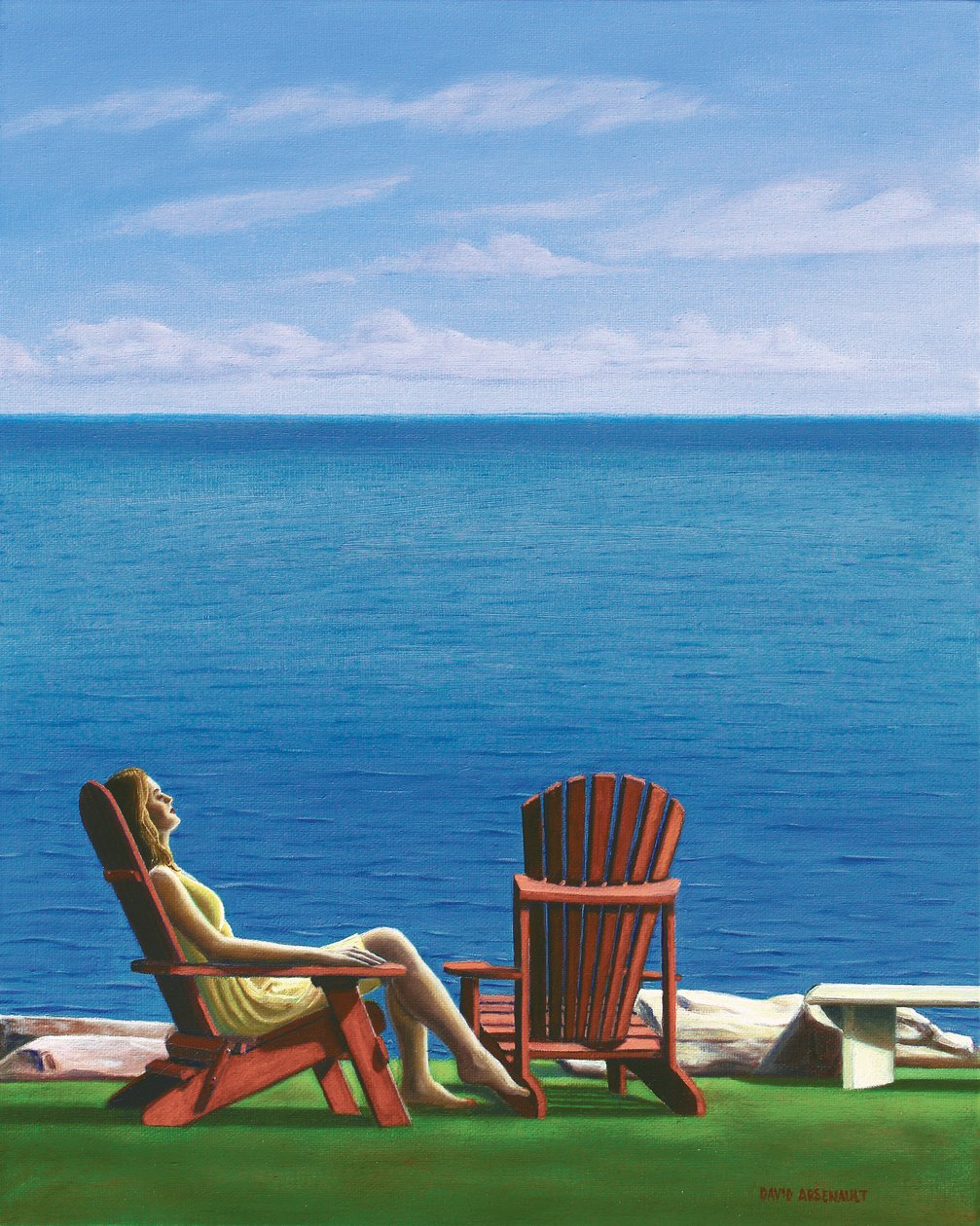 Raffinamento solitario, 2014 da David Arsenault