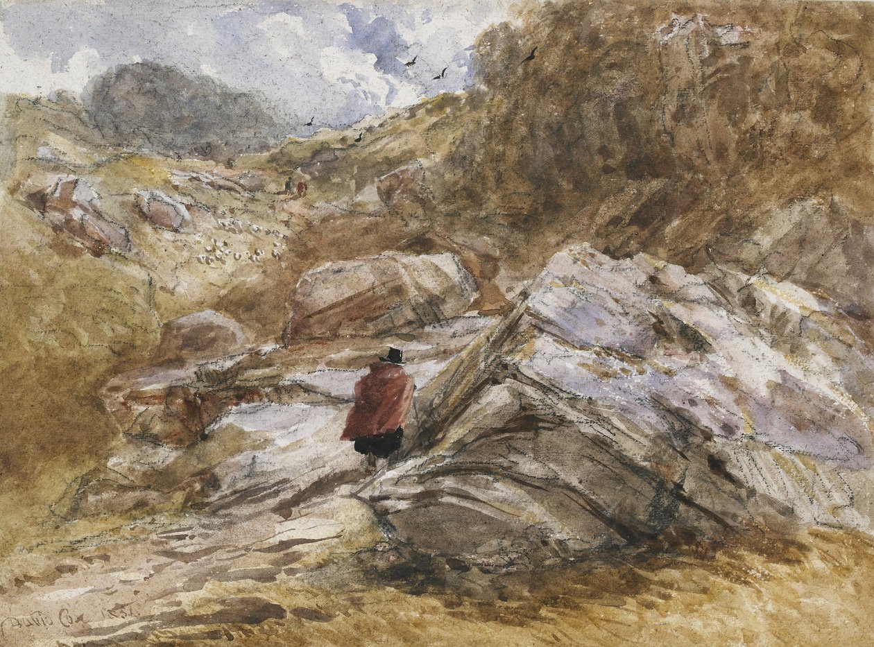 Passo di montagna a Bettws-y-Coed, 1851 da David Cox