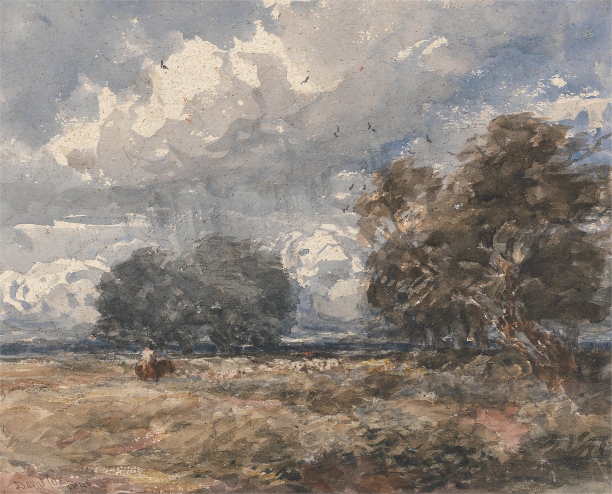 Pastore con il gregge, giorno ventoso da David Cox