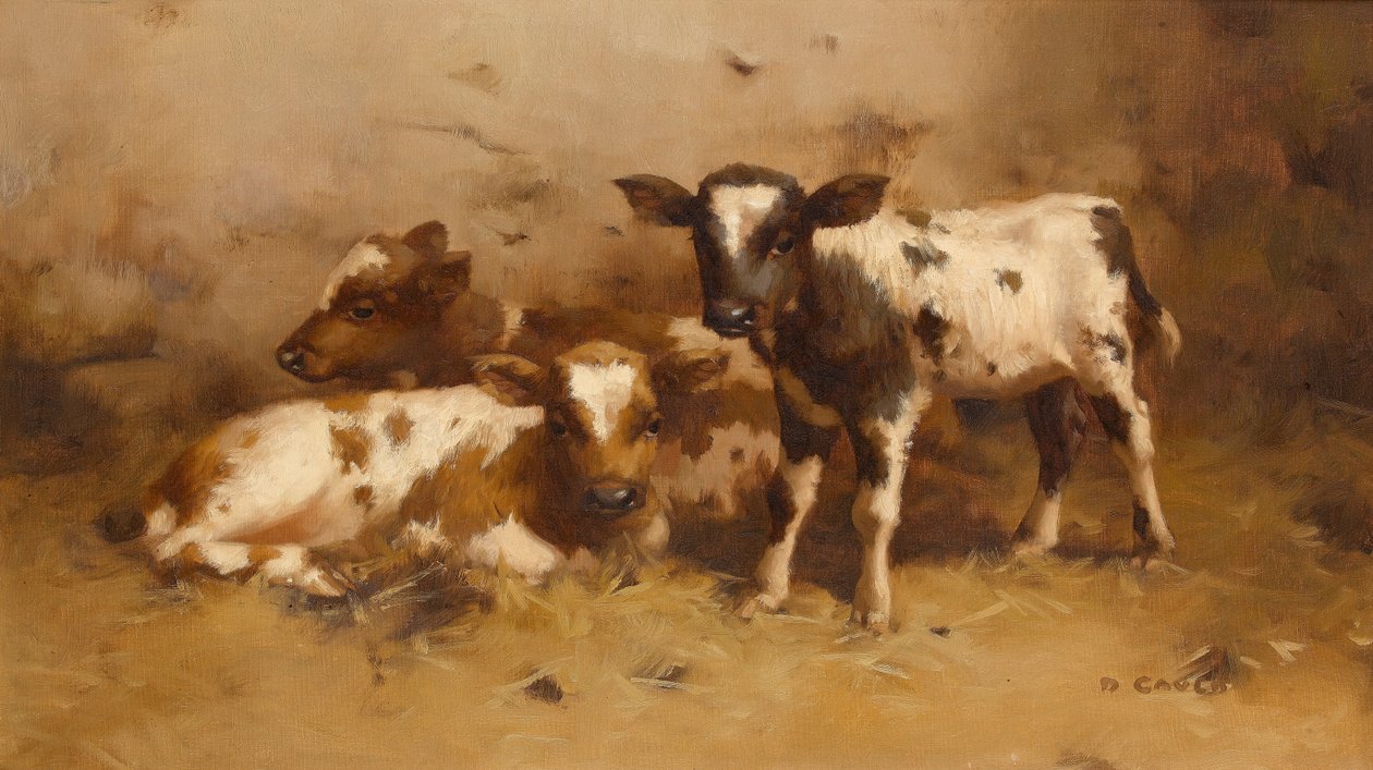 Tre vitelli in un fienile da David Gauld