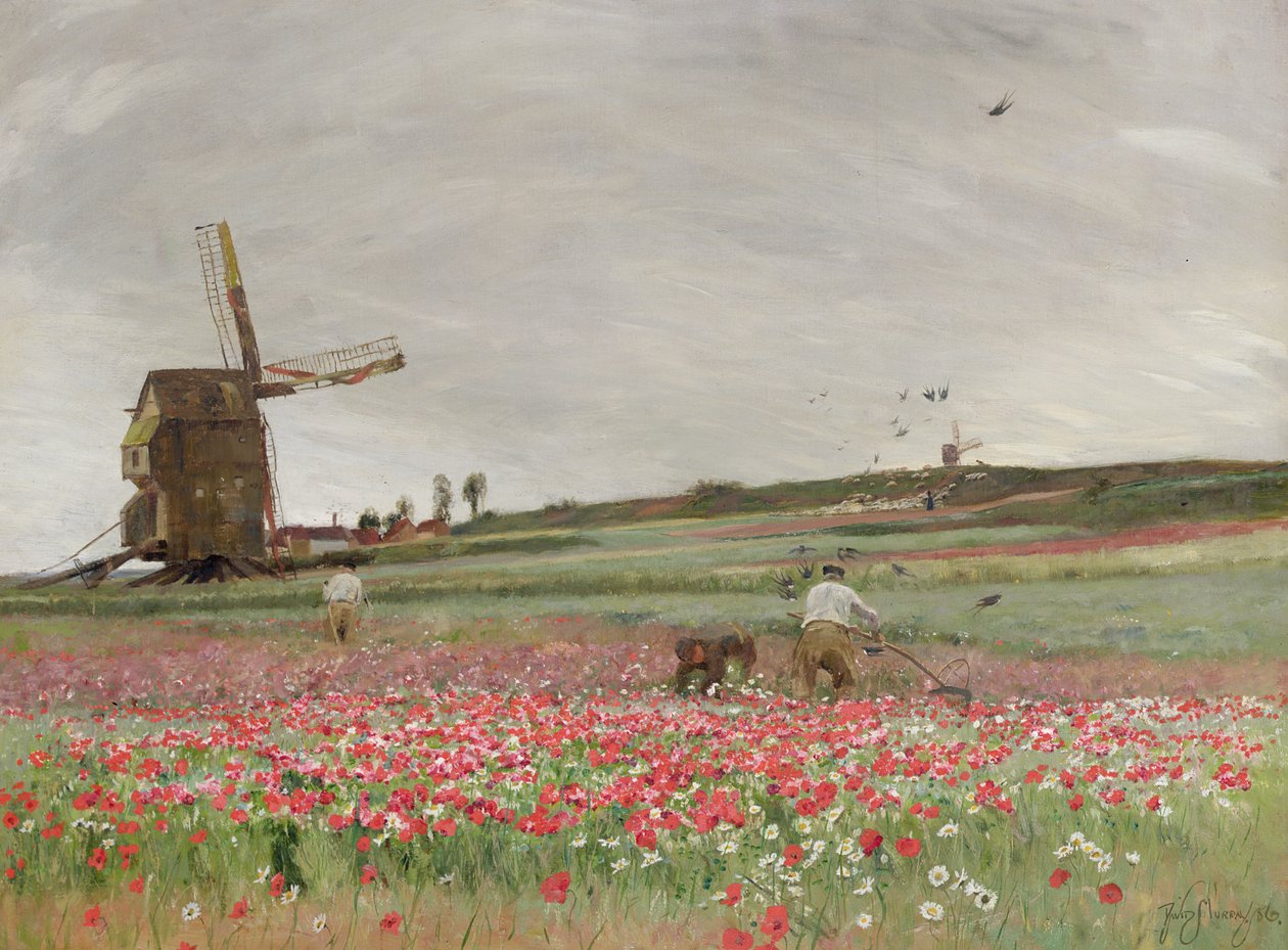 Campo di papaveri, 1886 da David Murray