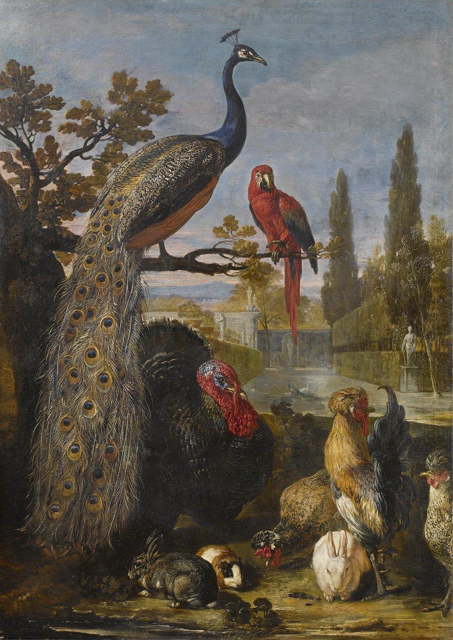 Un pavone, un pappagallo, un tacchino, galli, conigli e un porcellino d