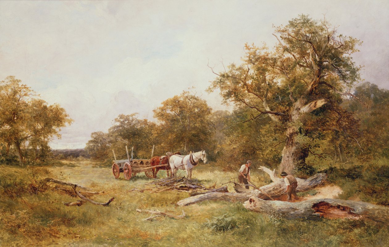 Nella Foresta di Dean da David Bates