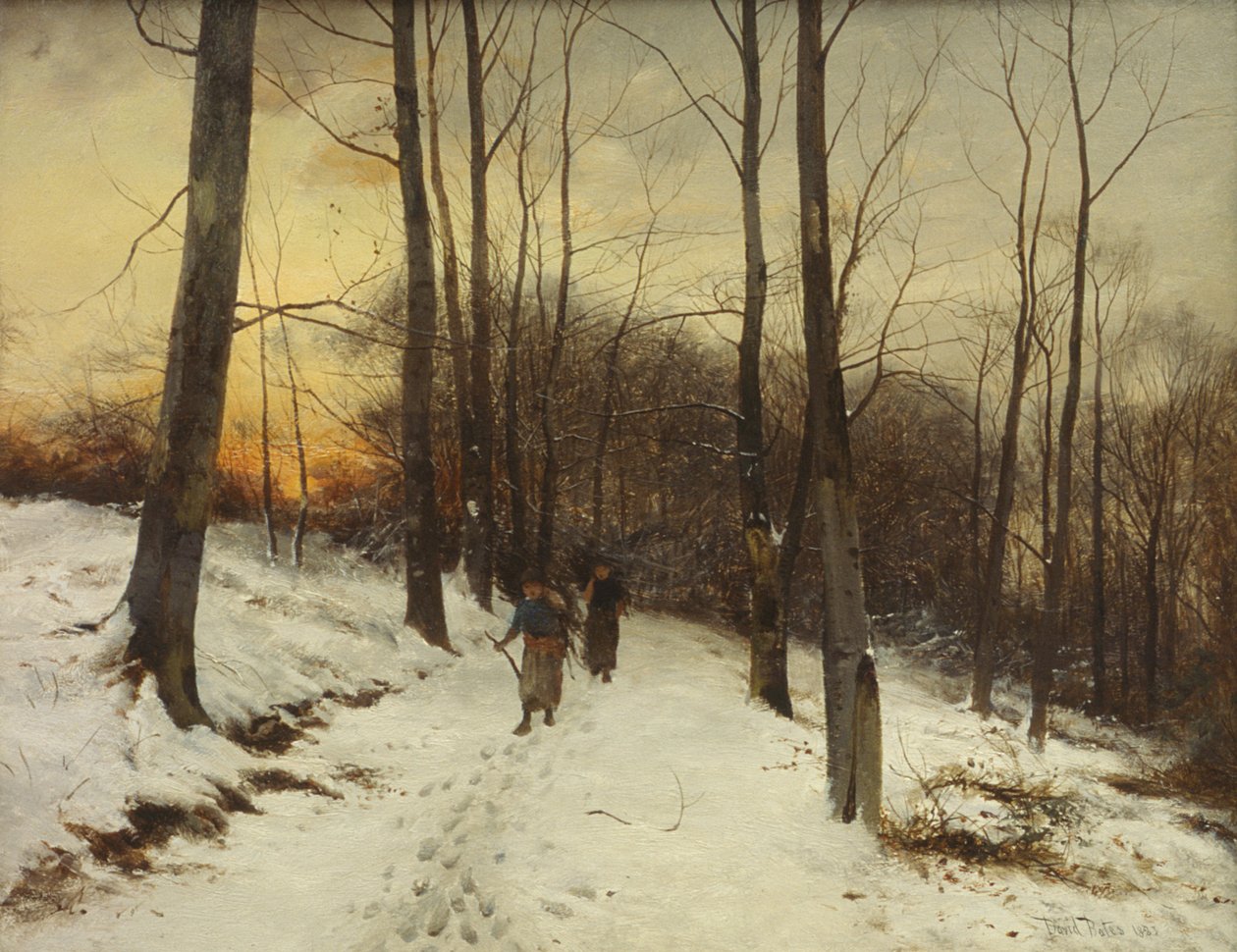 Boschi di Malvern da David Bates