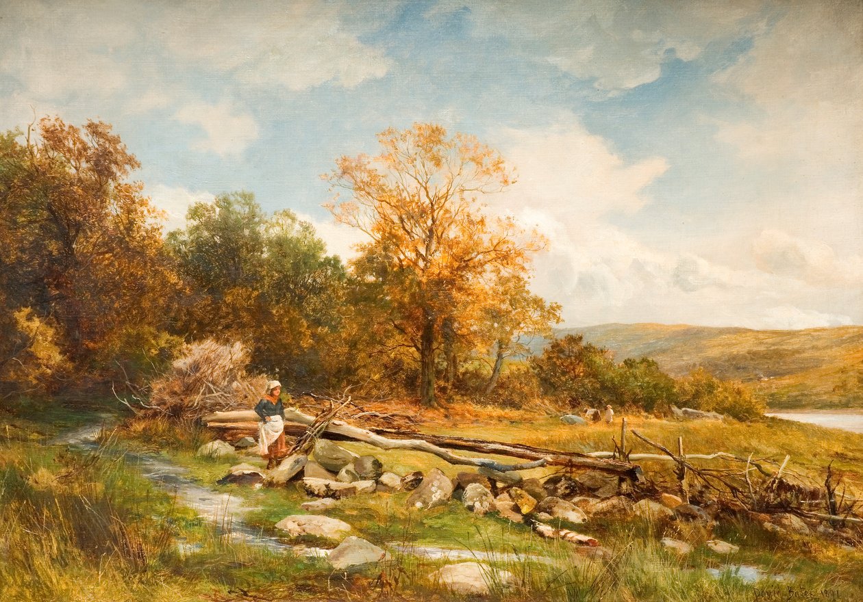 Recinzione di marea sul fiume Conwy a Bachlediog, 1891 da David Bates