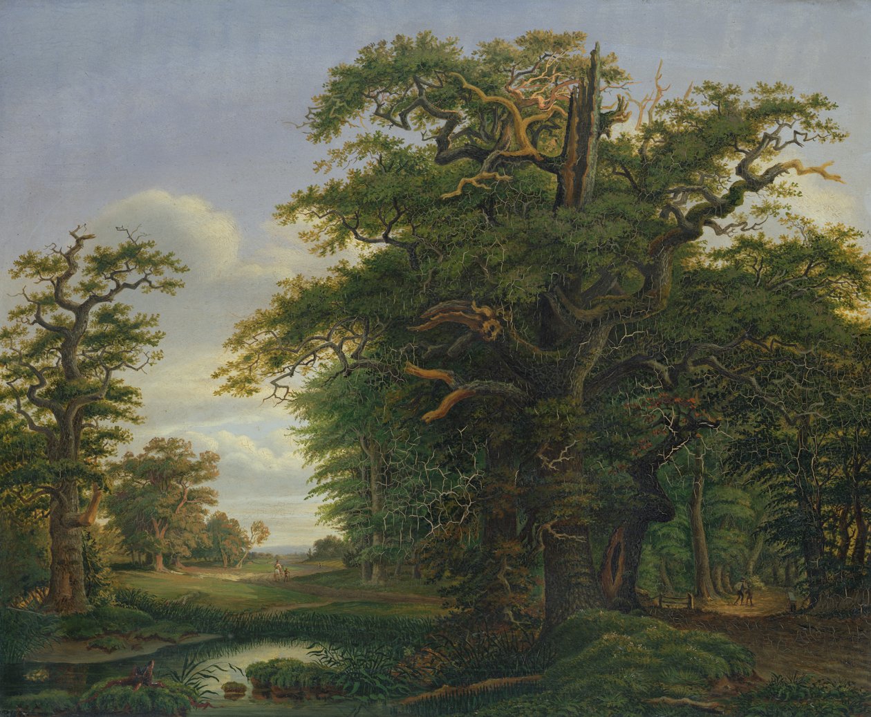 Bosco di querce, 1847 da David Christopher Mettlerkamp