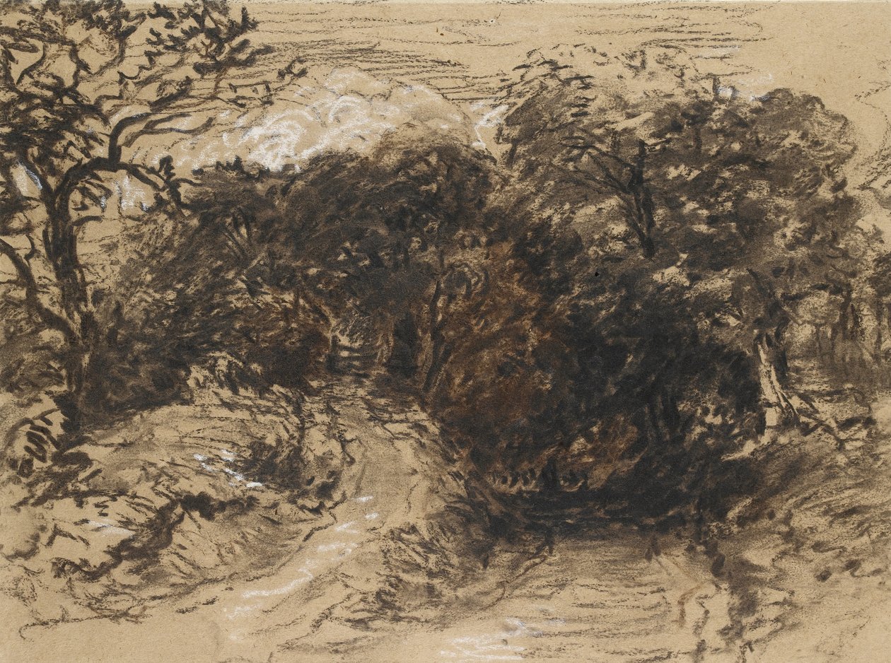 Una Strada Vuota vicino a Harborne, Derbyshire da David Cox