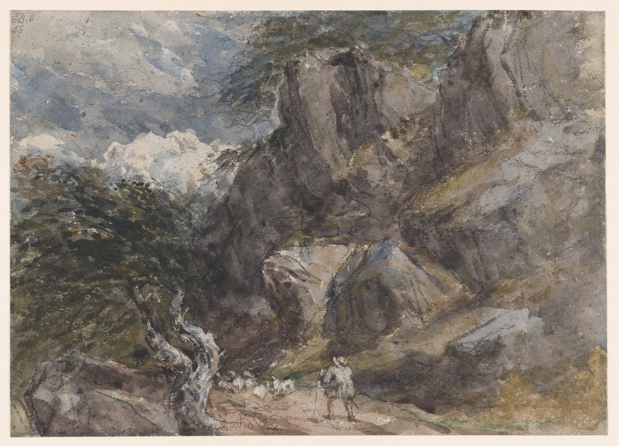 Condurre un gregge di pecore in un paesaggio roccioso da David Cox