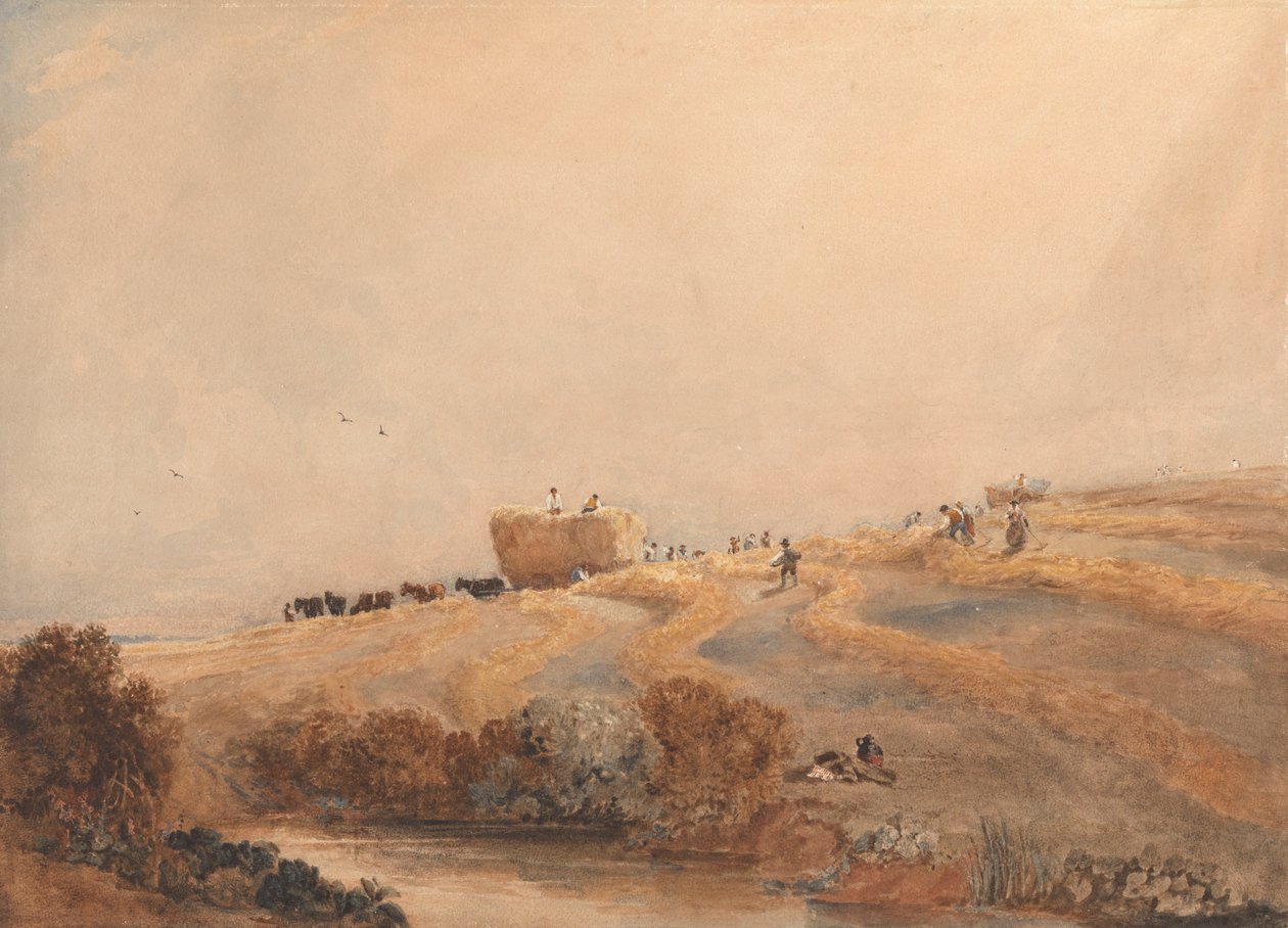Fienagione da David Cox
