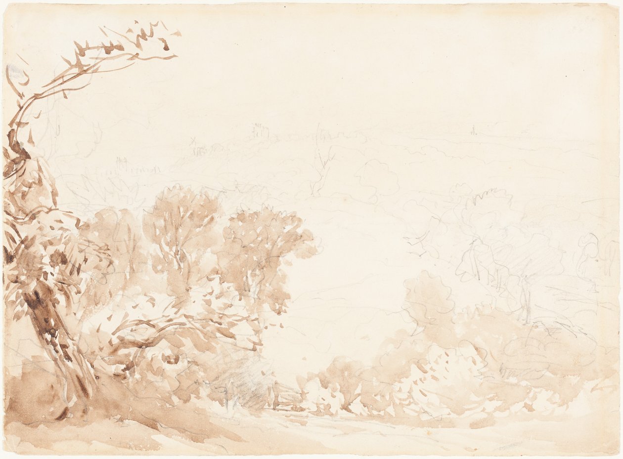 Pendio e alberi da David Cox