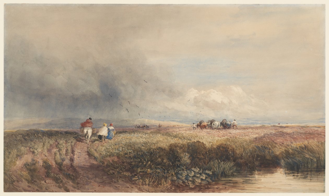 Viaggio verso casa da David Cox