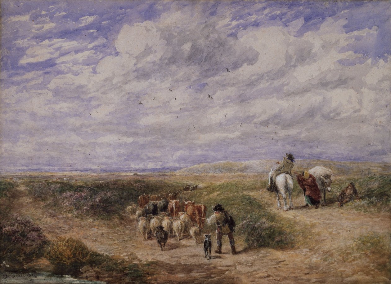 Prendi la strada a sinistra da David Cox