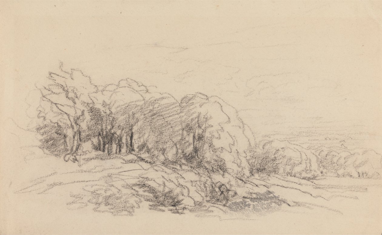 Paesaggio con alberi da David Cox