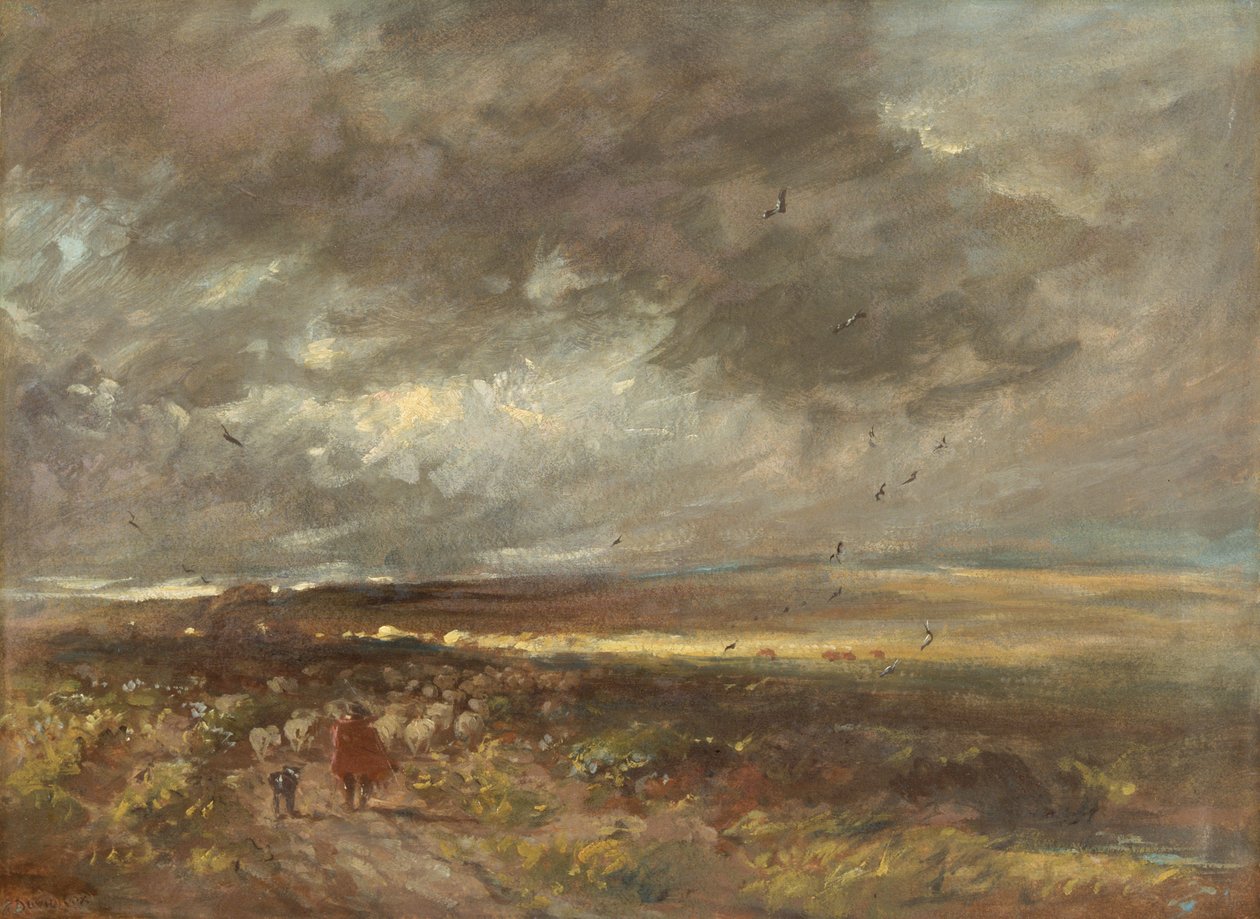 Paesaggio di brughiera: pastore e pecore (olio su carta su tela) da David Cox