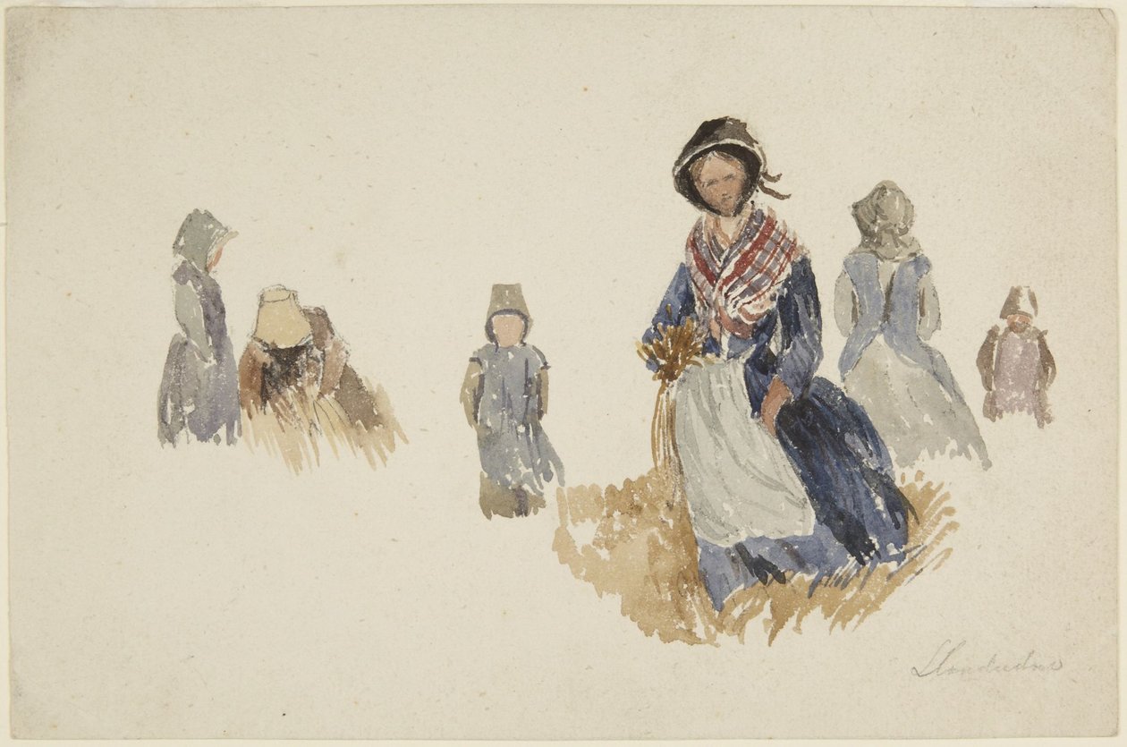 Studi di donne da David Cox
