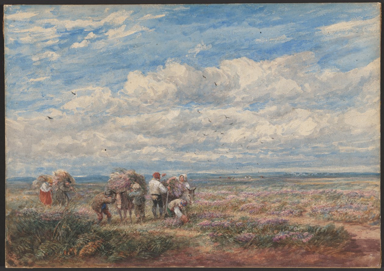 I raccoglitori di erica o ginestra da David Cox