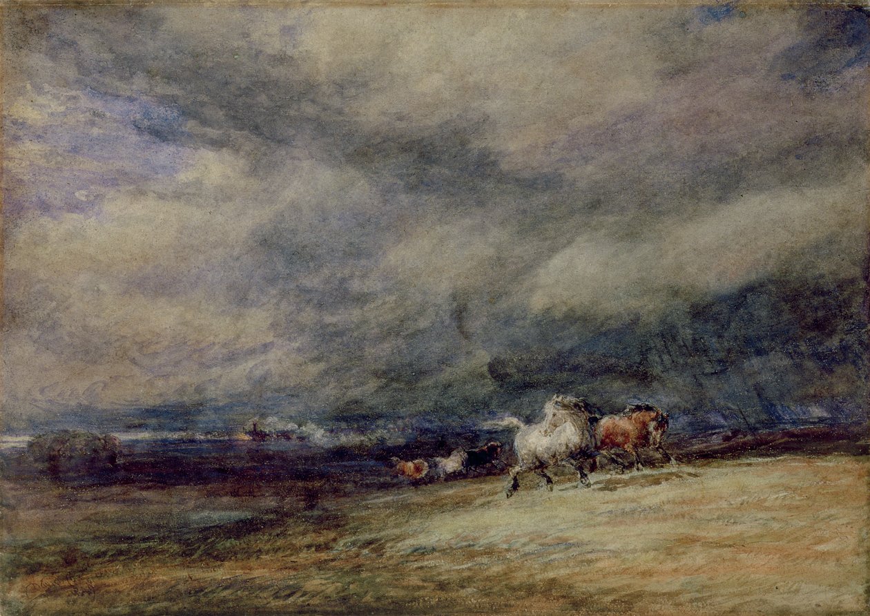 Il treno notturno da David Cox
