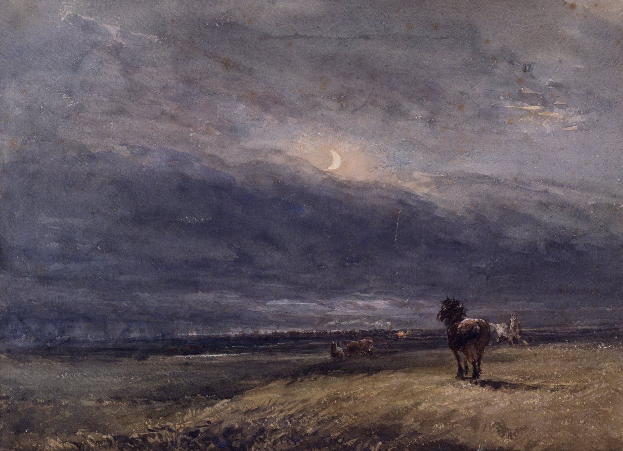 Il Treno Notturno da David Cox