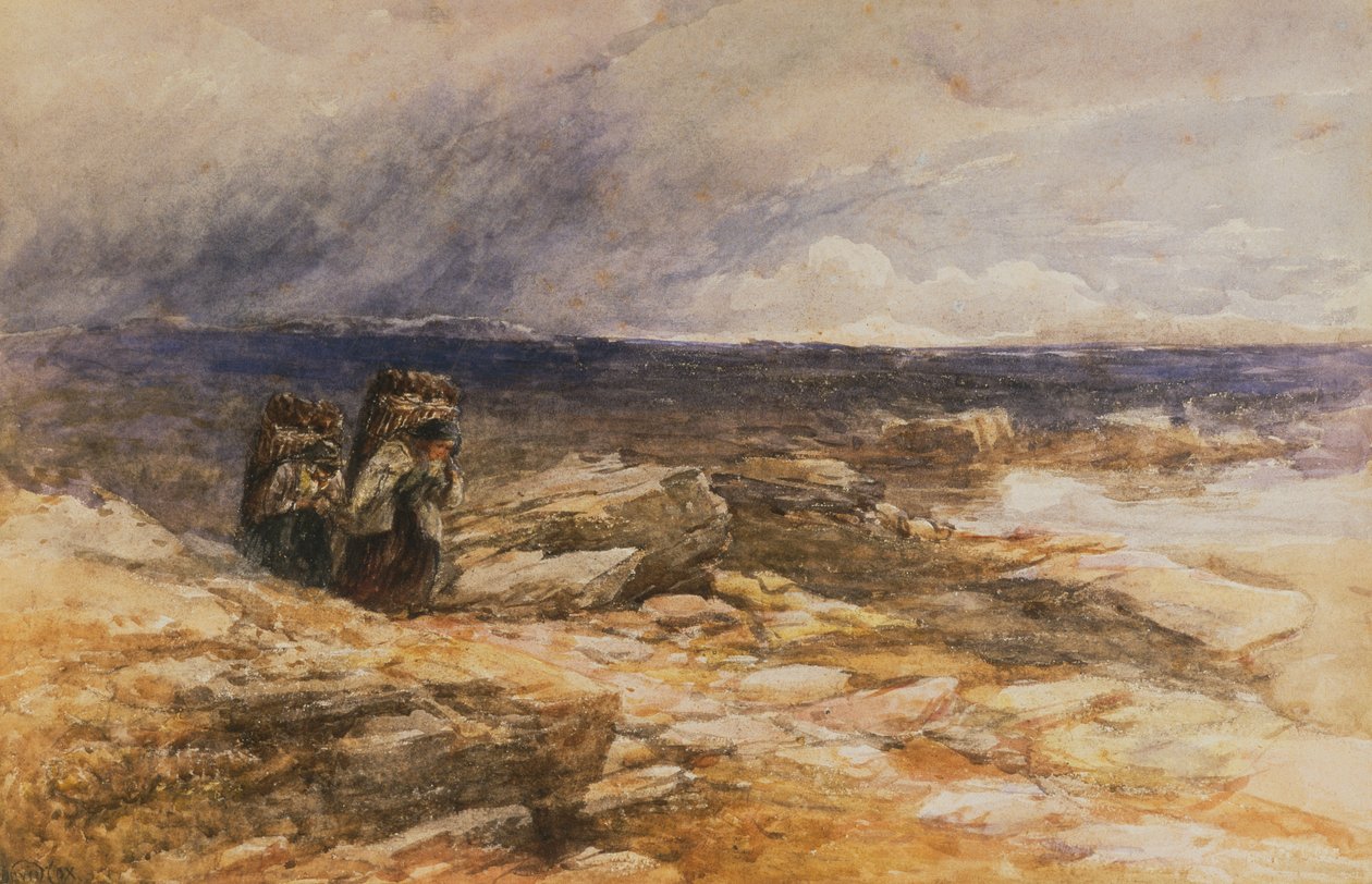 I raccoglitori di torba vicino a Bettws-Y-Coed, Galles del Nord da David Cox