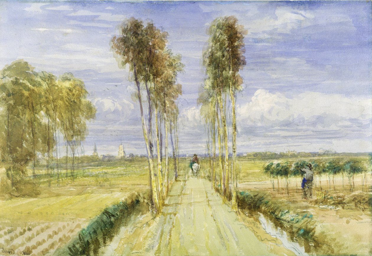 Il Viale dei Pioppi da David Cox