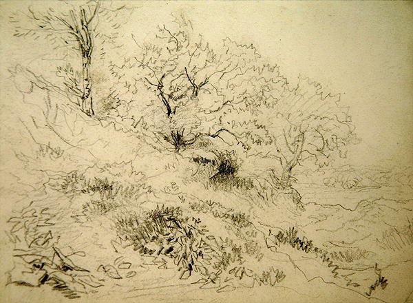 Paesaggio gallese da David Cox