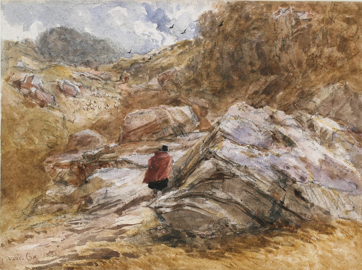 Passo di montagna a Bettws-y-Coed da David Cox the elder