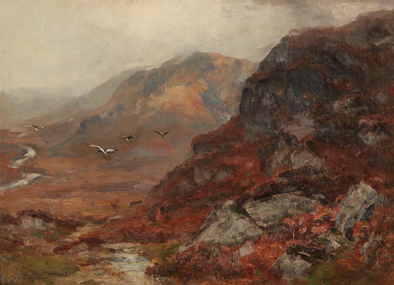 Colline delle Highlands da David Farquharson
