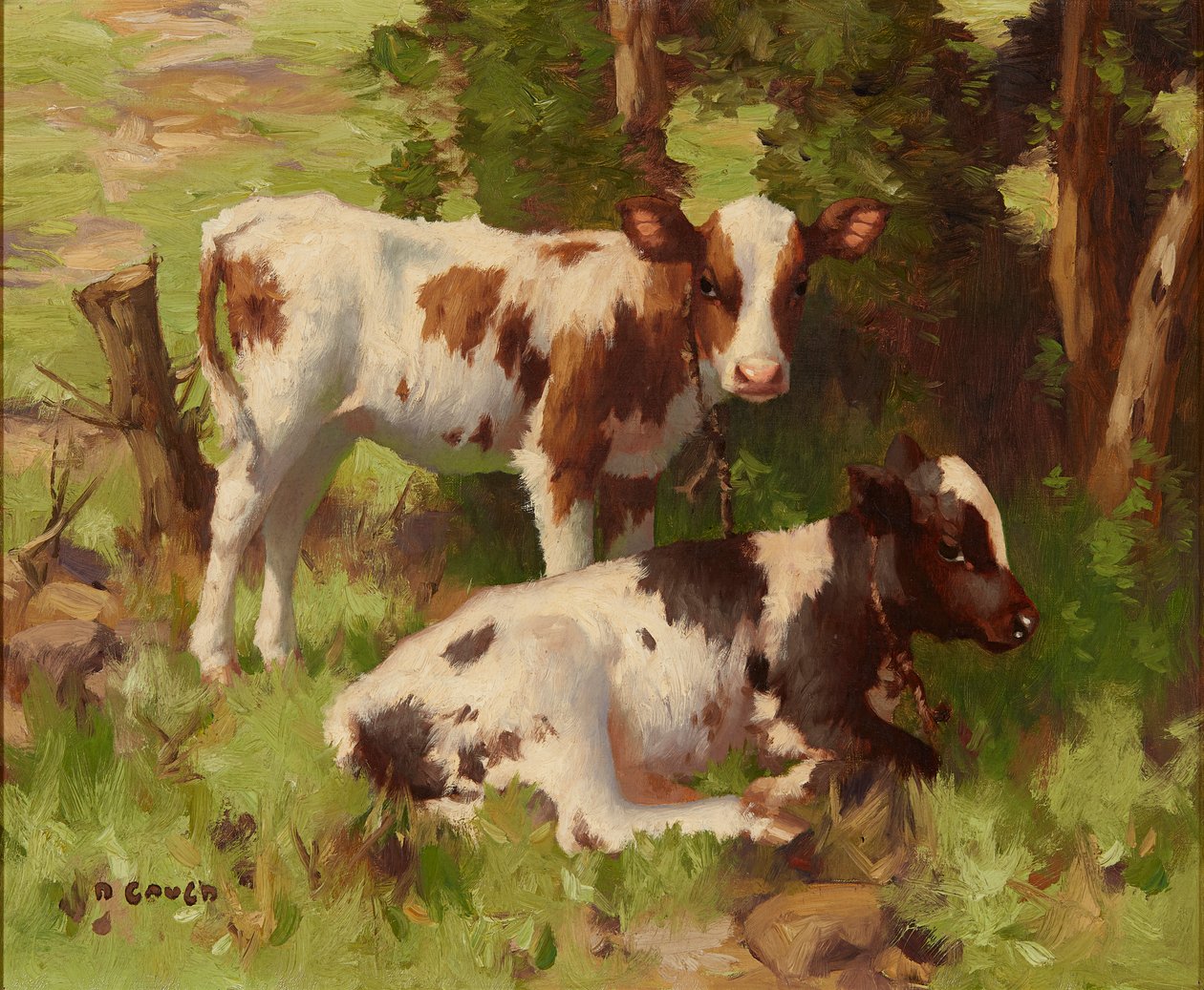 Vitelli in un paesaggio estivo da David Gauld