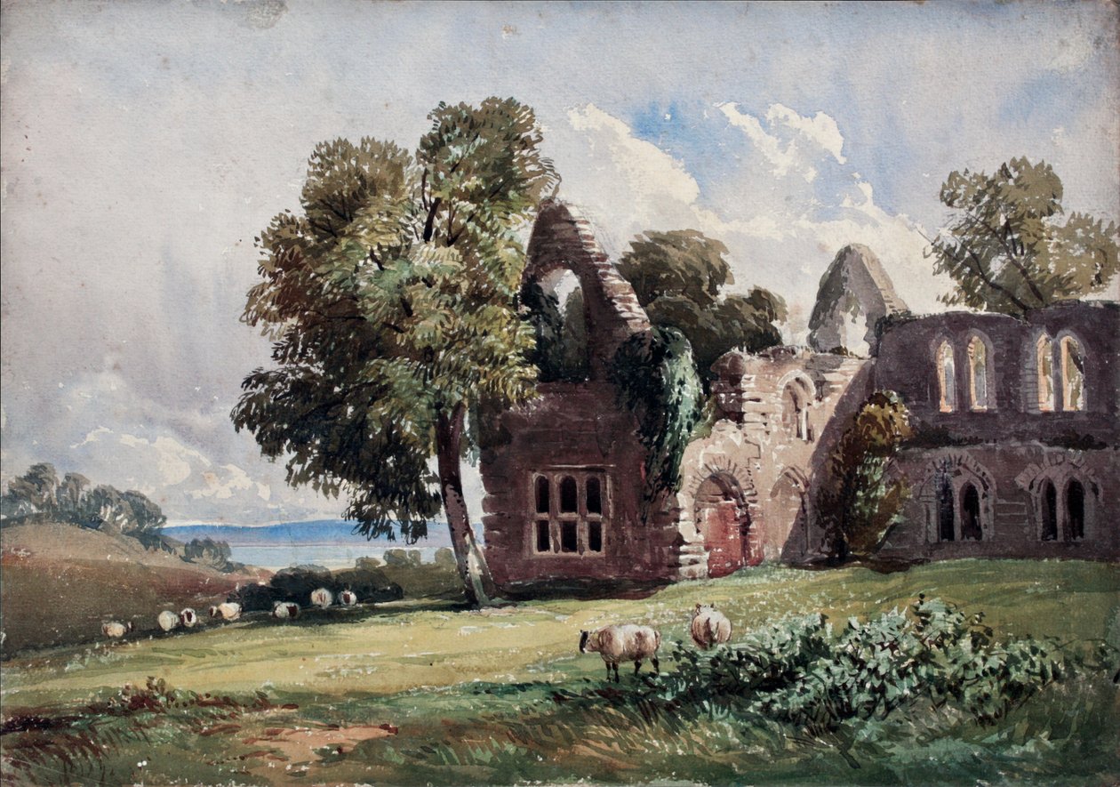 Abbazia in rovina e pecore da David Hall McKewan