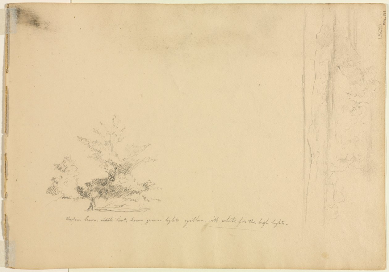 Studi sul paesaggio e sugli alberi (verso) da David Johnson