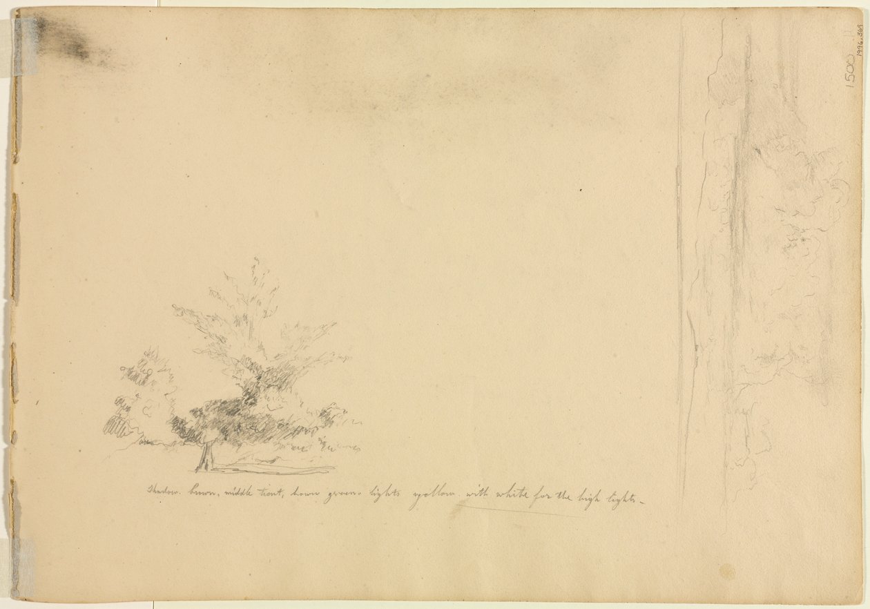 Studi di paesaggio e alberi verso, c. 1851 da David Johnson