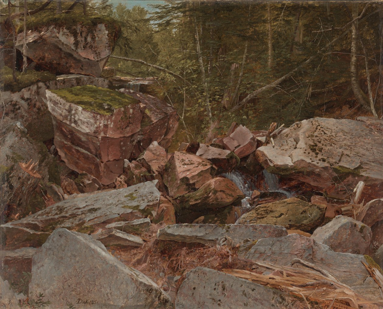 Studio, North Conway, New Hampshire, 1851 da David Johnson