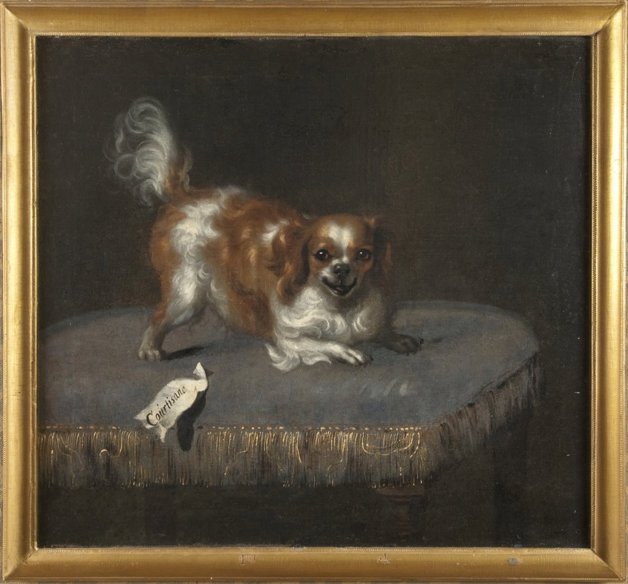 Il cane Courtisane da David Klöcker Ehrenstrahl